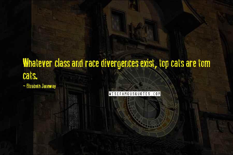 Elizabeth Janeway Quotes: Whatever class and race divergences exist, top cats are tom cats.