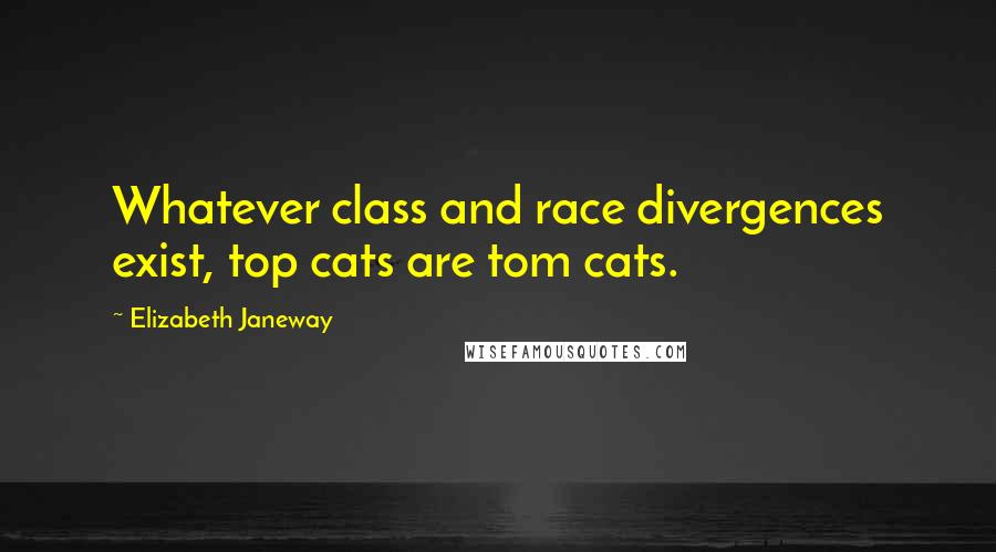 Elizabeth Janeway Quotes: Whatever class and race divergences exist, top cats are tom cats.