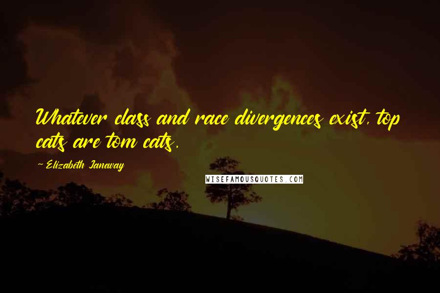 Elizabeth Janeway Quotes: Whatever class and race divergences exist, top cats are tom cats.