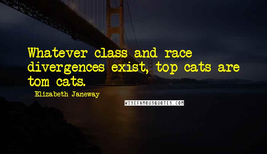 Elizabeth Janeway Quotes: Whatever class and race divergences exist, top cats are tom cats.