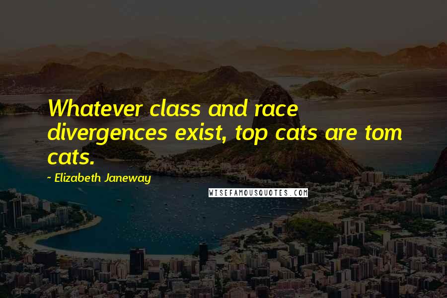 Elizabeth Janeway Quotes: Whatever class and race divergences exist, top cats are tom cats.