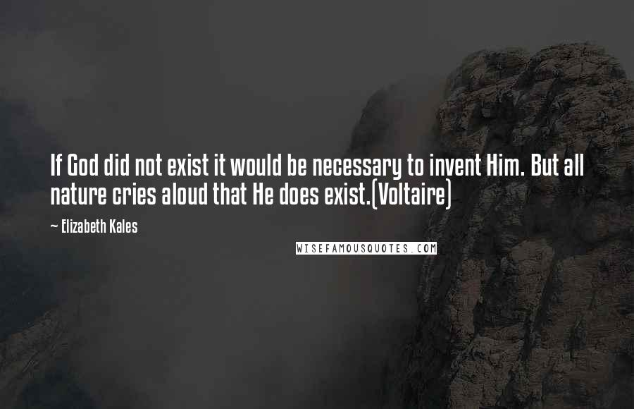 Elizabeth Kales Quotes: If God did not exist it would be necessary to invent Him. But all nature cries aloud that He does exist.(Voltaire)