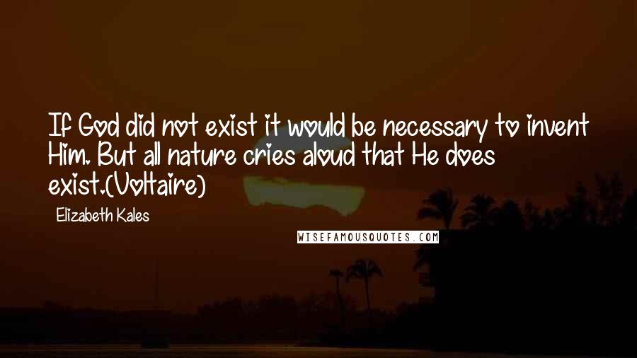 Elizabeth Kales Quotes: If God did not exist it would be necessary to invent Him. But all nature cries aloud that He does exist.(Voltaire)