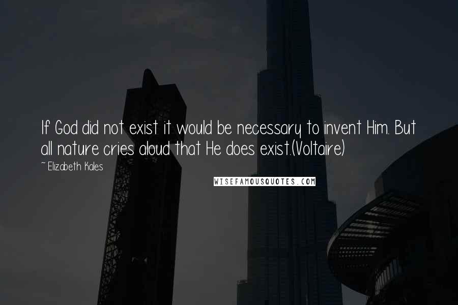 Elizabeth Kales Quotes: If God did not exist it would be necessary to invent Him. But all nature cries aloud that He does exist.(Voltaire)