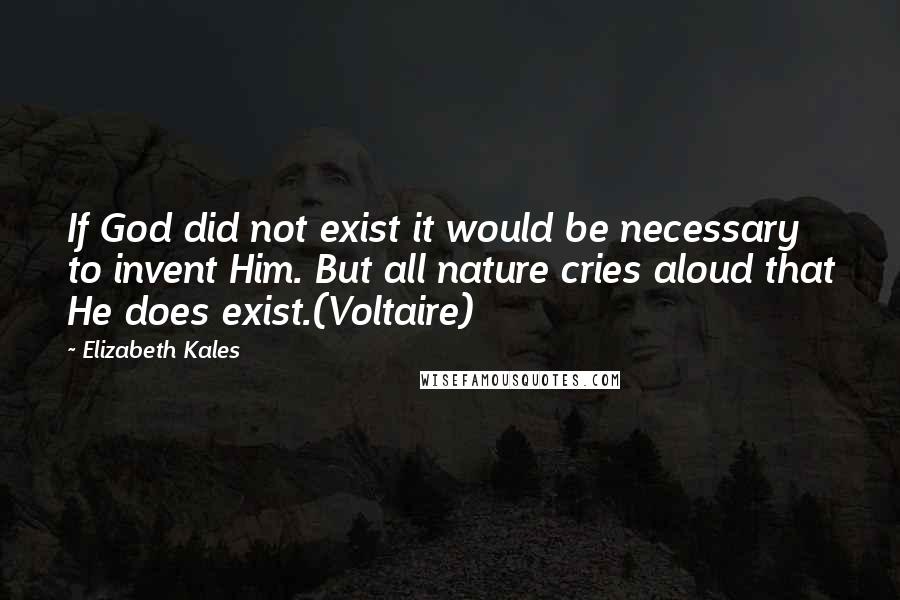 Elizabeth Kales Quotes: If God did not exist it would be necessary to invent Him. But all nature cries aloud that He does exist.(Voltaire)