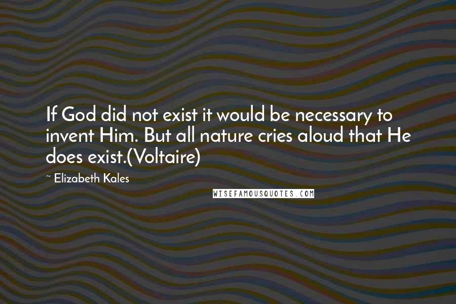 Elizabeth Kales Quotes: If God did not exist it would be necessary to invent Him. But all nature cries aloud that He does exist.(Voltaire)