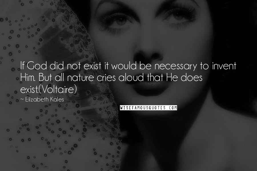 Elizabeth Kales Quotes: If God did not exist it would be necessary to invent Him. But all nature cries aloud that He does exist.(Voltaire)