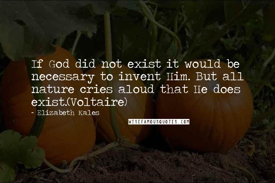 Elizabeth Kales Quotes: If God did not exist it would be necessary to invent Him. But all nature cries aloud that He does exist.(Voltaire)