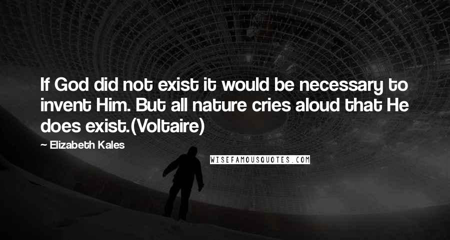 Elizabeth Kales Quotes: If God did not exist it would be necessary to invent Him. But all nature cries aloud that He does exist.(Voltaire)