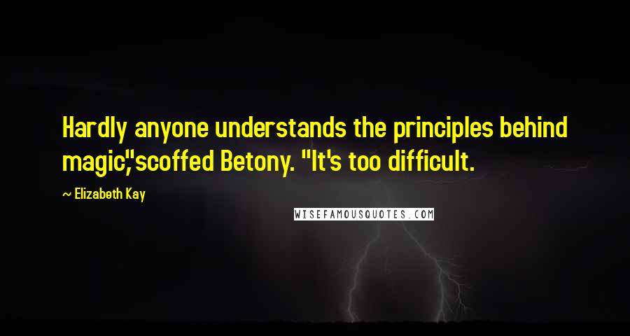 Elizabeth Kay Quotes: Hardly anyone understands the principles behind magic,"scoffed Betony. "It's too difficult.