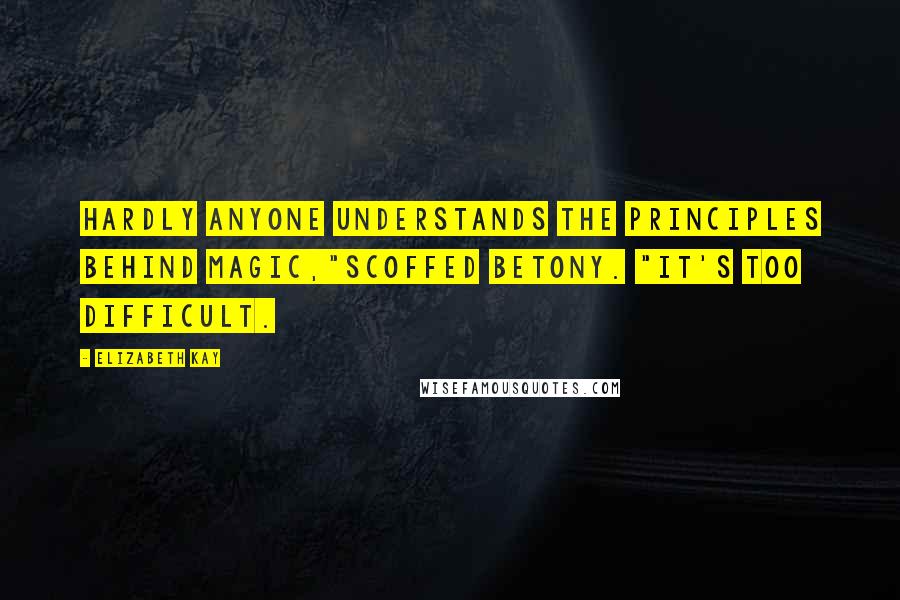 Elizabeth Kay Quotes: Hardly anyone understands the principles behind magic,"scoffed Betony. "It's too difficult.