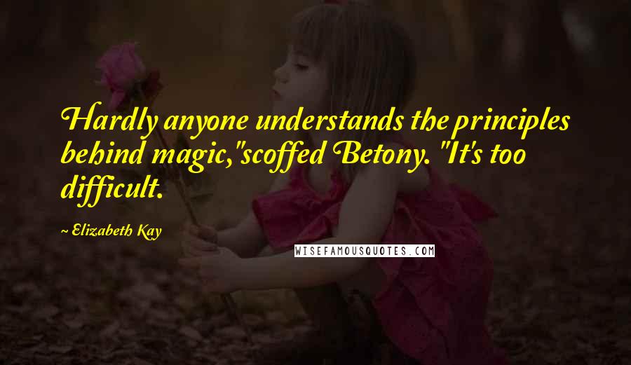 Elizabeth Kay Quotes: Hardly anyone understands the principles behind magic,"scoffed Betony. "It's too difficult.