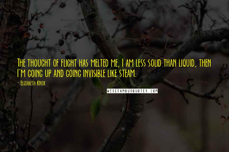 Elizabeth Knox Quotes: The thought of flight has melted me, I am less solid than liquid, then I'm going up and going invisible like steam.