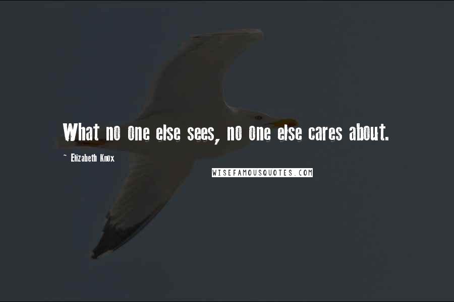 Elizabeth Knox Quotes: What no one else sees, no one else cares about.