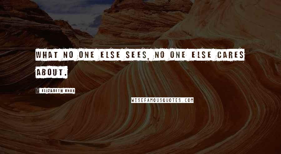 Elizabeth Knox Quotes: What no one else sees, no one else cares about.