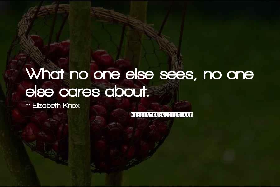 Elizabeth Knox Quotes: What no one else sees, no one else cares about.