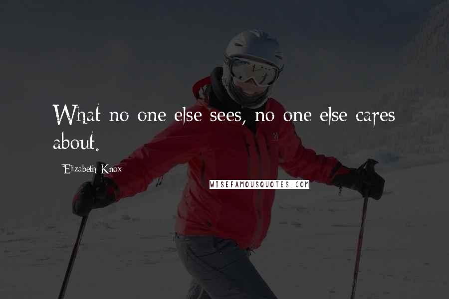 Elizabeth Knox Quotes: What no one else sees, no one else cares about.