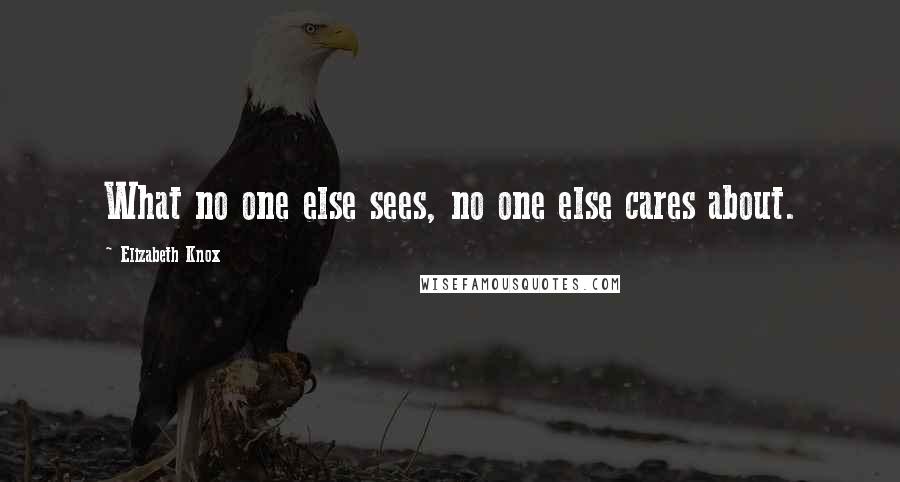 Elizabeth Knox Quotes: What no one else sees, no one else cares about.