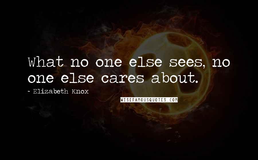 Elizabeth Knox Quotes: What no one else sees, no one else cares about.