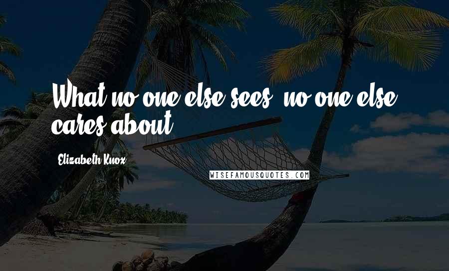 Elizabeth Knox Quotes: What no one else sees, no one else cares about.