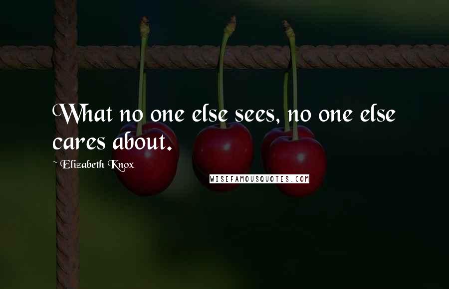 Elizabeth Knox Quotes: What no one else sees, no one else cares about.