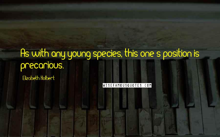 Elizabeth Kolbert Quotes: As with any young species, this one's position is precarious.