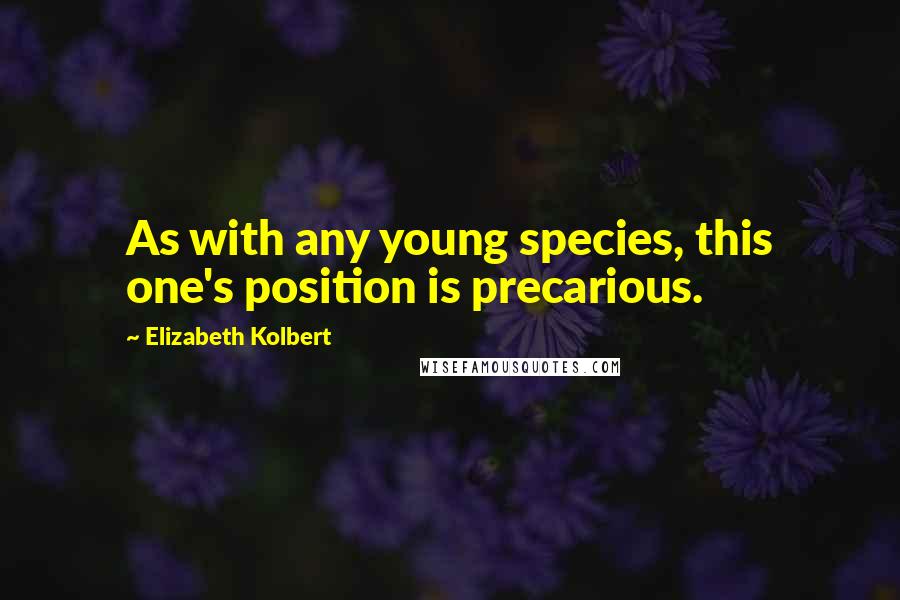 Elizabeth Kolbert Quotes: As with any young species, this one's position is precarious.