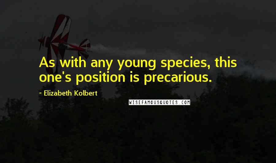 Elizabeth Kolbert Quotes: As with any young species, this one's position is precarious.