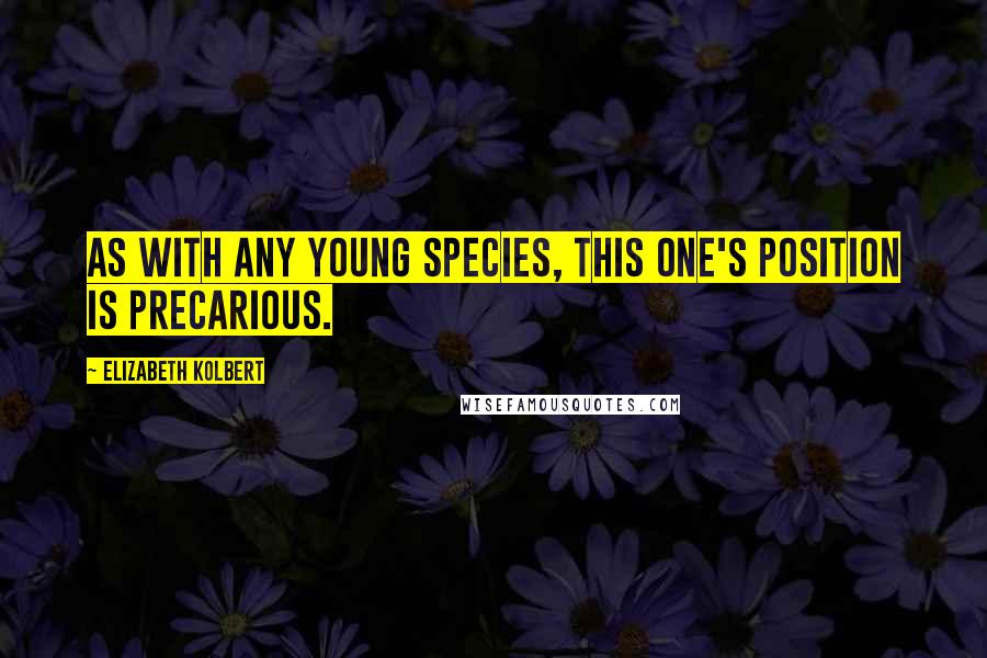 Elizabeth Kolbert Quotes: As with any young species, this one's position is precarious.