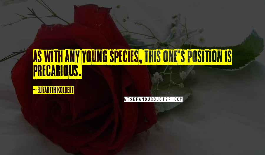 Elizabeth Kolbert Quotes: As with any young species, this one's position is precarious.