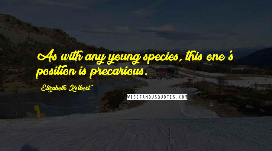 Elizabeth Kolbert Quotes: As with any young species, this one's position is precarious.