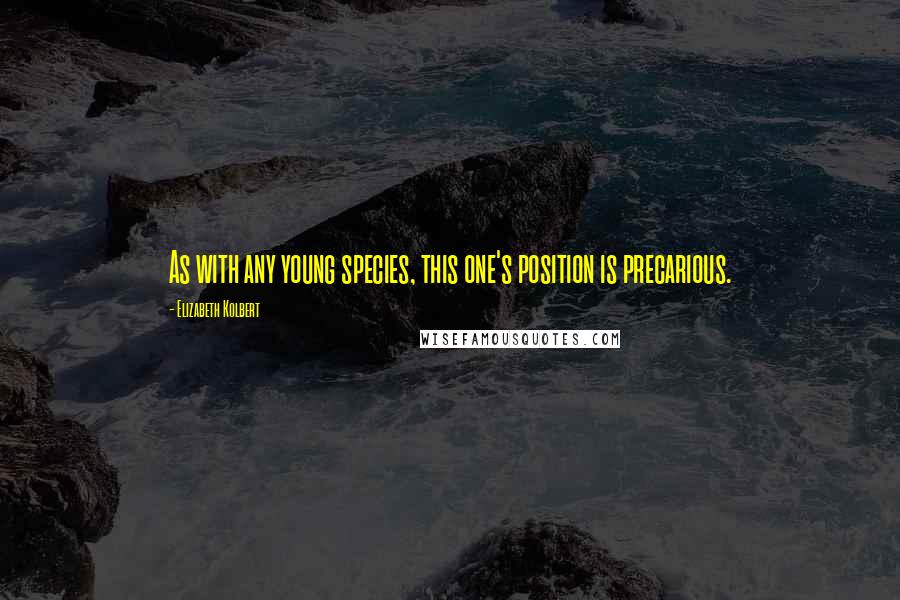 Elizabeth Kolbert Quotes: As with any young species, this one's position is precarious.