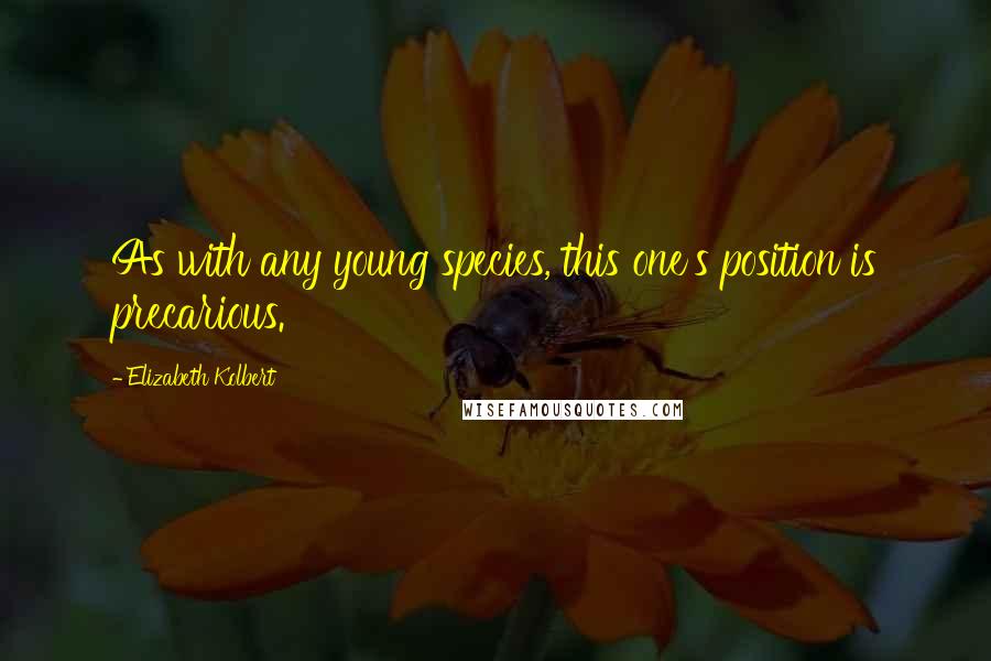 Elizabeth Kolbert Quotes: As with any young species, this one's position is precarious.