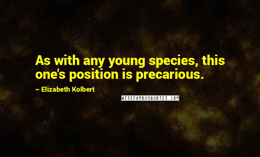Elizabeth Kolbert Quotes: As with any young species, this one's position is precarious.
