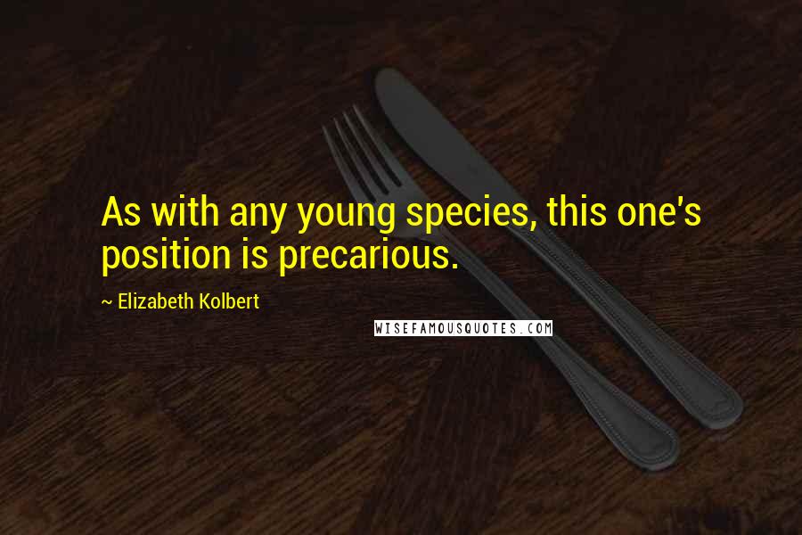 Elizabeth Kolbert Quotes: As with any young species, this one's position is precarious.