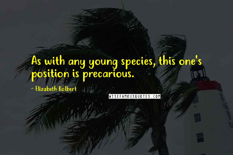 Elizabeth Kolbert Quotes: As with any young species, this one's position is precarious.