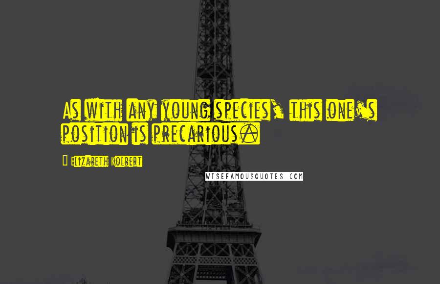 Elizabeth Kolbert Quotes: As with any young species, this one's position is precarious.
