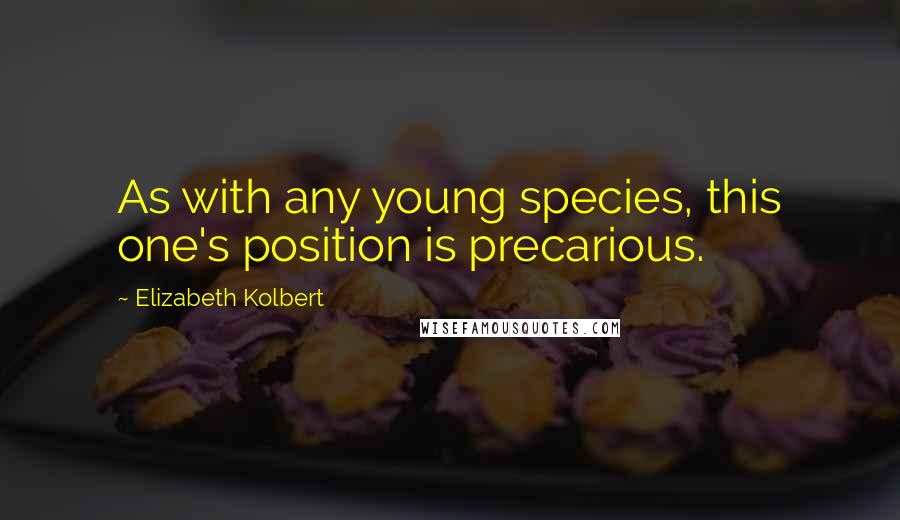 Elizabeth Kolbert Quotes: As with any young species, this one's position is precarious.