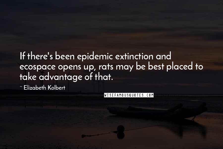 Elizabeth Kolbert Quotes: If there's been epidemic extinction and ecospace opens up, rats may be best placed to take advantage of that.