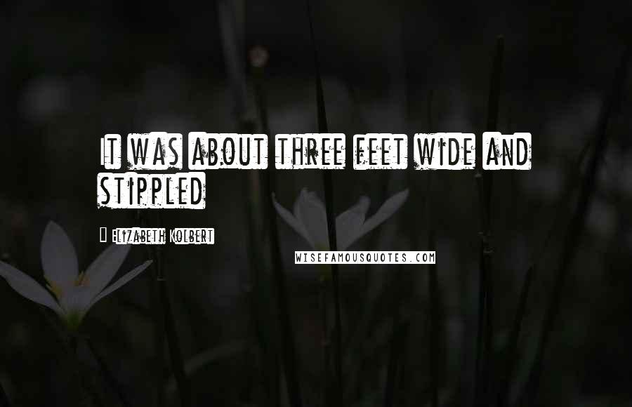 Elizabeth Kolbert Quotes: It was about three feet wide and stippled