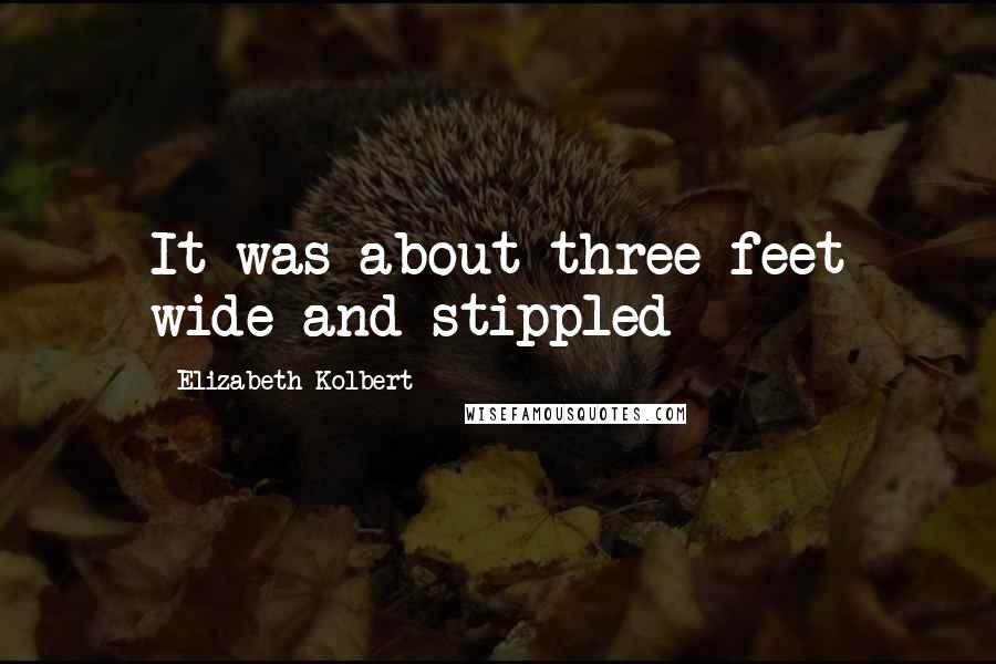 Elizabeth Kolbert Quotes: It was about three feet wide and stippled
