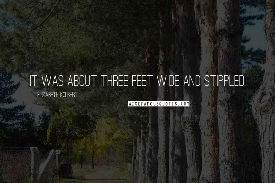 Elizabeth Kolbert Quotes: It was about three feet wide and stippled