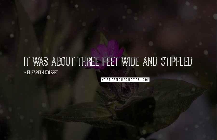 Elizabeth Kolbert Quotes: It was about three feet wide and stippled