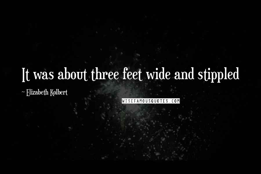 Elizabeth Kolbert Quotes: It was about three feet wide and stippled