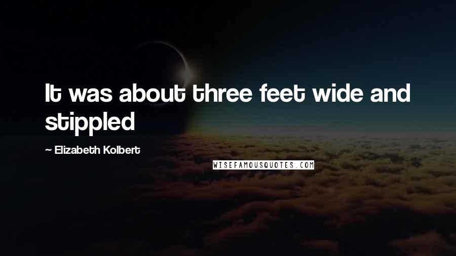 Elizabeth Kolbert Quotes: It was about three feet wide and stippled