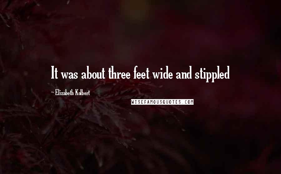 Elizabeth Kolbert Quotes: It was about three feet wide and stippled