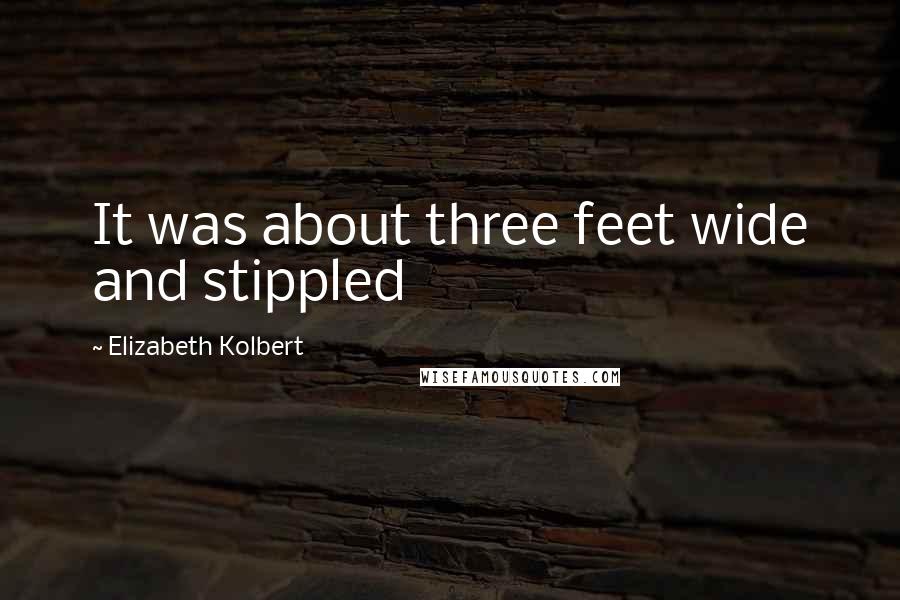 Elizabeth Kolbert Quotes: It was about three feet wide and stippled