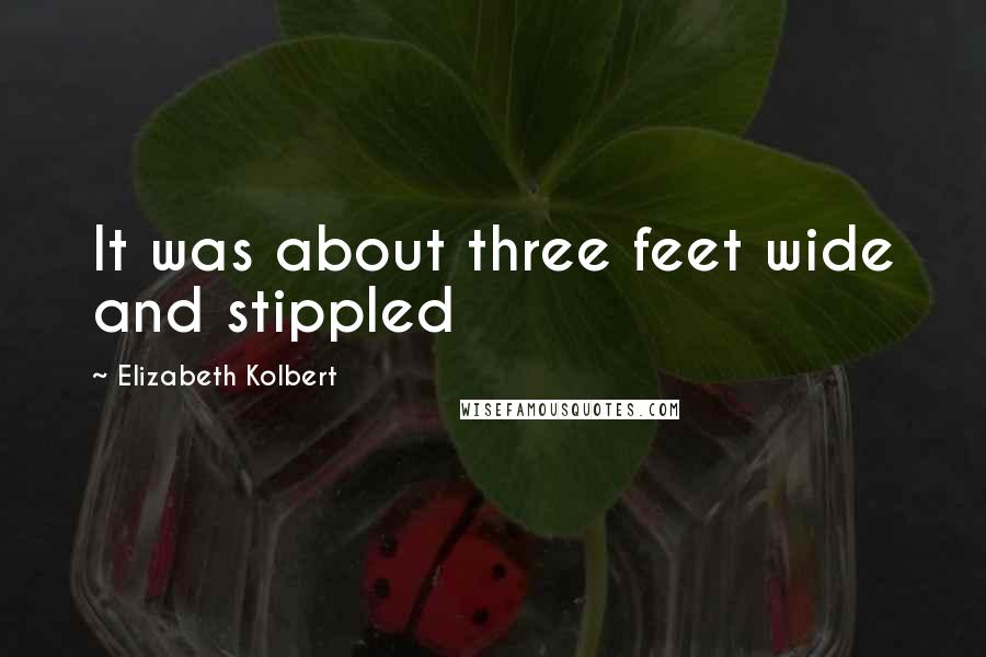 Elizabeth Kolbert Quotes: It was about three feet wide and stippled