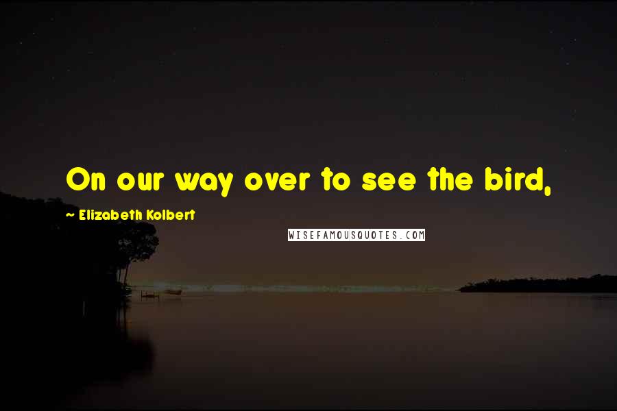 Elizabeth Kolbert Quotes: On our way over to see the bird,