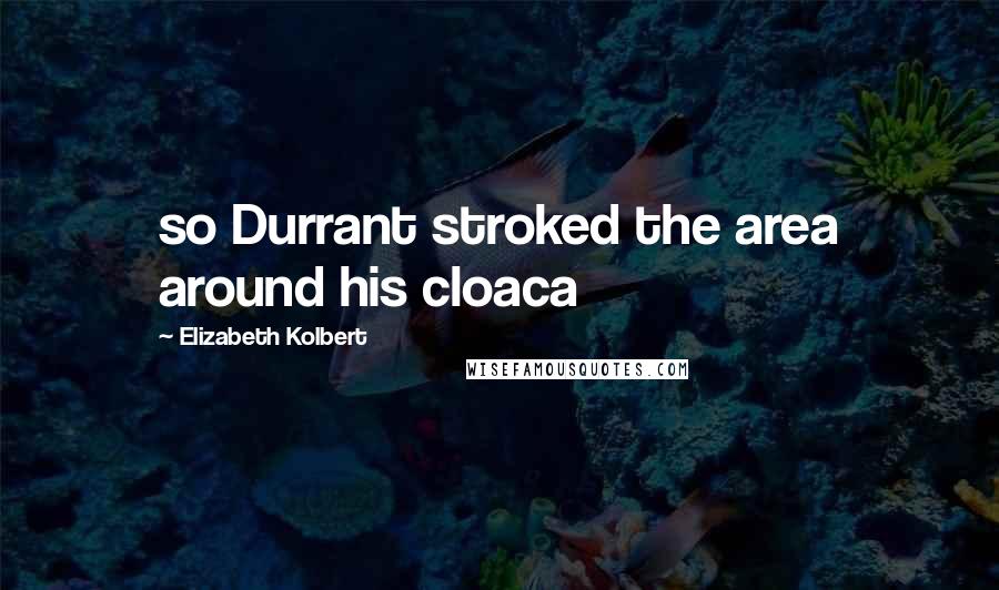 Elizabeth Kolbert Quotes: so Durrant stroked the area around his cloaca
